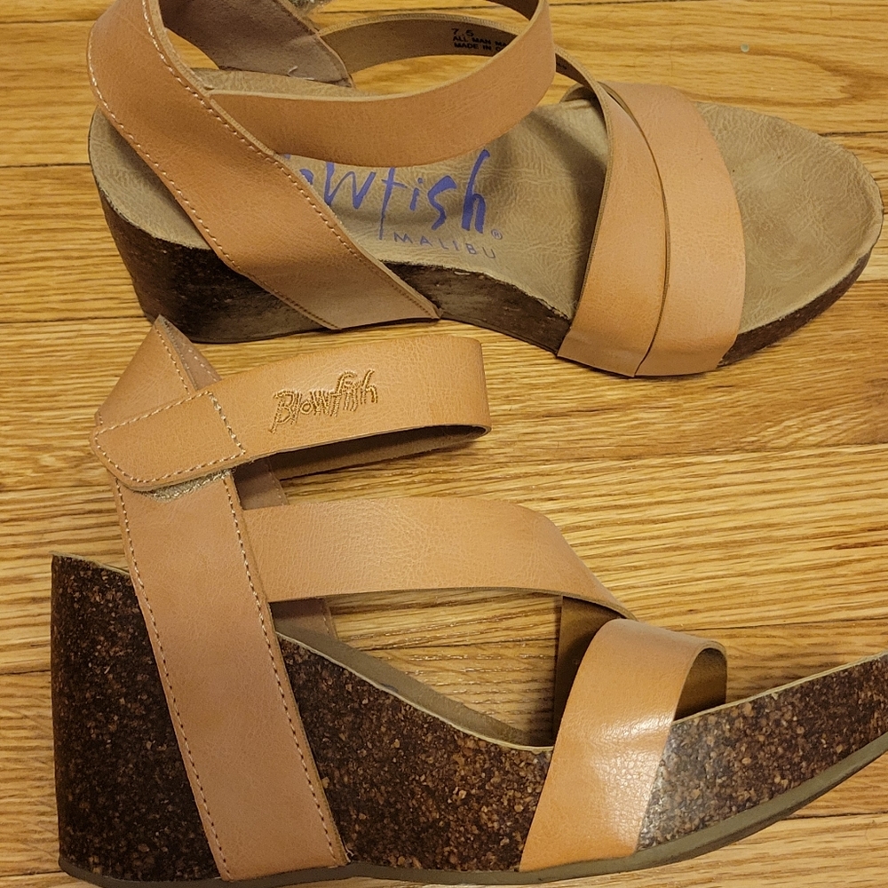 Blowfish wedges
